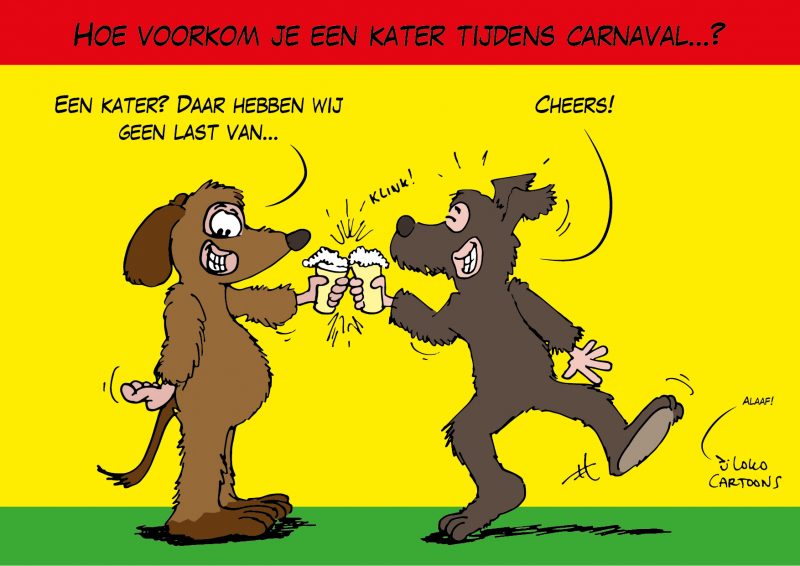 Hoe voorkom je een kater tijdens carnaval... - Loko Cartoons