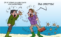 Commotie over vervoer ‘supersterren van de Grand Prix’ over het strand