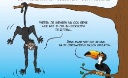 Ook dierentuinen gesloten voor publiek Corona, coronavirus, coronacrisis, COVID-19