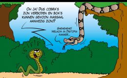 Fors meer inzet van handhavers tijdens oud en nieuw coronavaccin vaccin vaccinatie vaccinatiebewijs vaccinatieplicht bijwerkingen coronavirus COVID19 coronamaatregelen inenting Pfizer Moderna Astra Zenica Corona, coronavirus, coronacrisis, COVID-19
