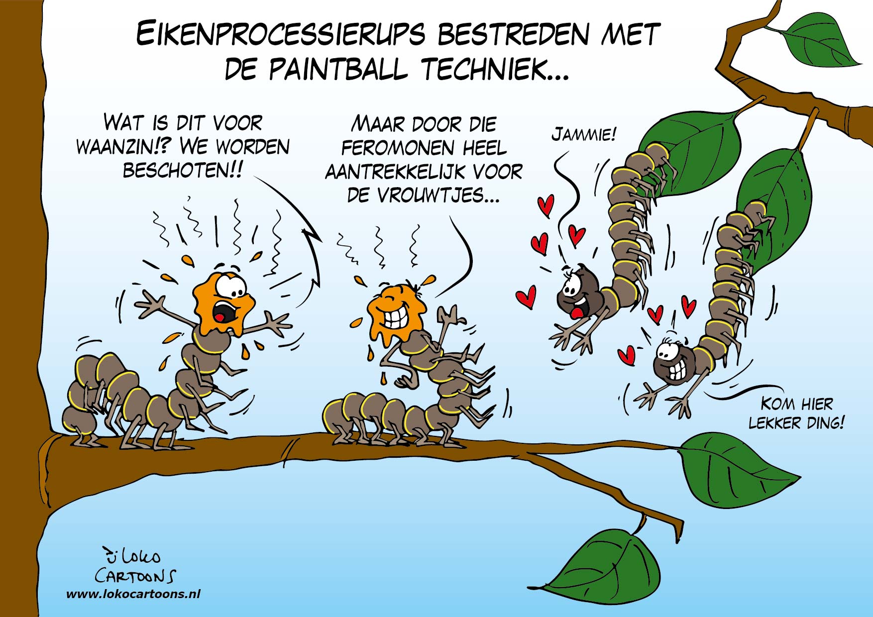 Eikenprocessierups bestreden met de paintball techniek…